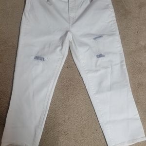 Talbots 14 straight and curvy